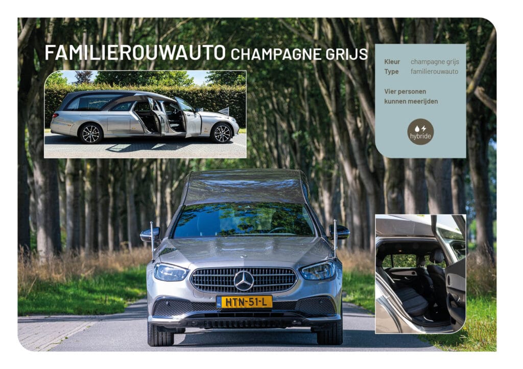 Foto familierouwauto champagne grijs