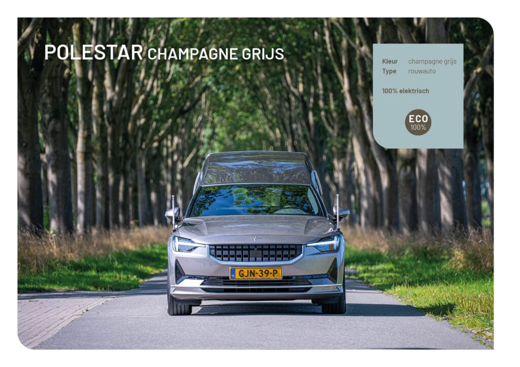 Foto poestar champagne grijs